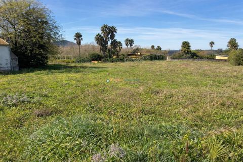 Villa a Benicolet, Valencia, Benicolet - € 128.000 | Ref: PNVL2165 - foto 15